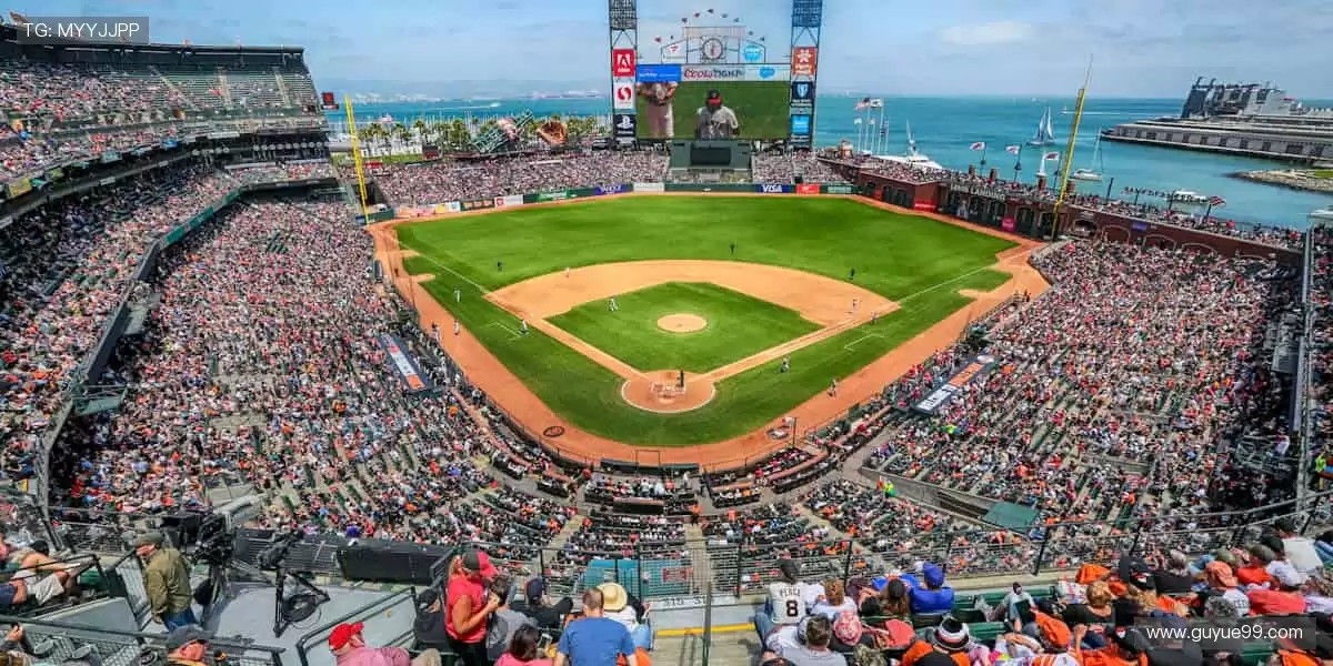 全球赛事，零时差直击！🌍 高清画质 + 多语言解说，畅享无国界体育盛宴！